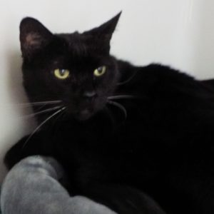Picture of Maggie