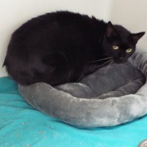 Picture of Maggie