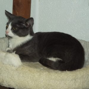 Picture of Slinky