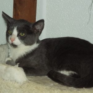 Picture of Slinky