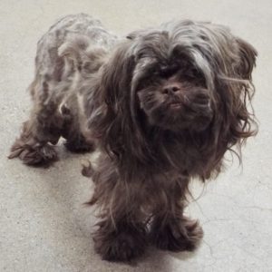 Picture of Alfredo