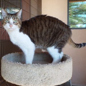 Picture of Kieko