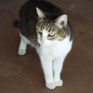 Picture of Kieko
