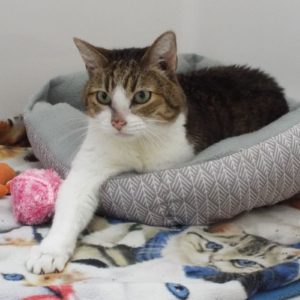 Picture of Kieko