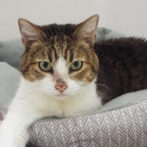 Picture of Kieko