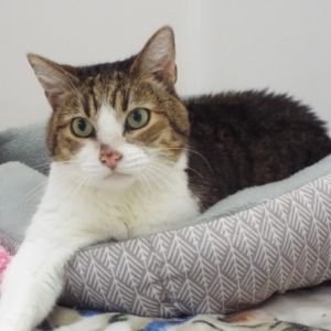 Picture of Kieko