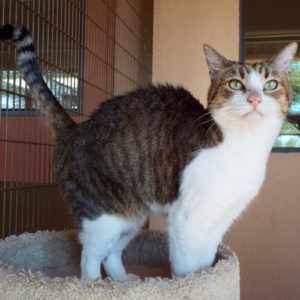 Picture of Kieko