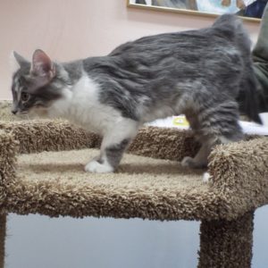Picture of Mung