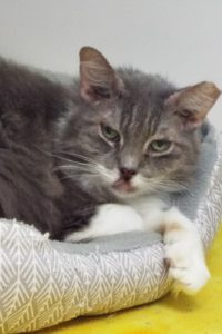 Picture of Twyla (R.B.)