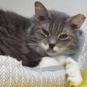 Picture of Twyla (R.B.)