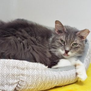 Picture of Twyla (R.B.)