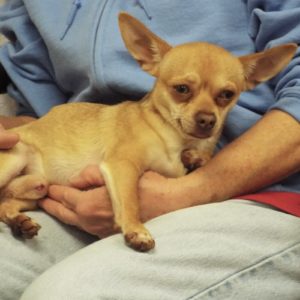 Picture of Howard