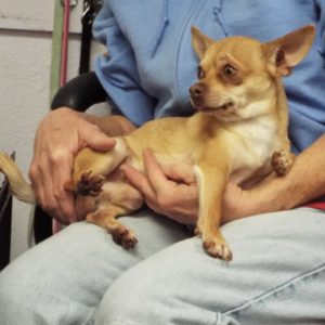 Picture of Howard