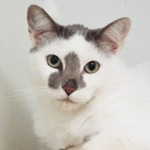 Picture of Kai