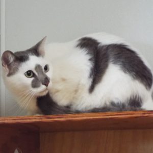Picture of Kai