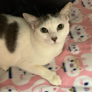 Picture of Lucy