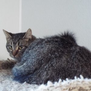 Picture of Waylon