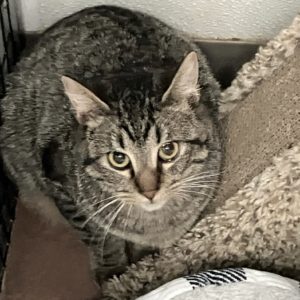 Picture of Waylon