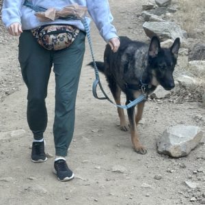 Picture of Cash