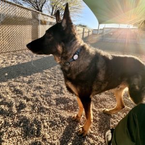 Picture of Cash