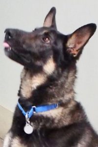 Picture of Cash