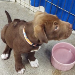 Picture of Cutesy