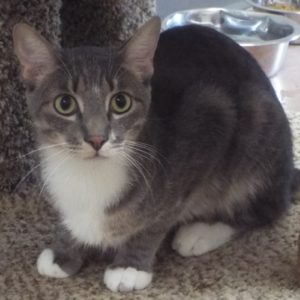 Picture of Barclay