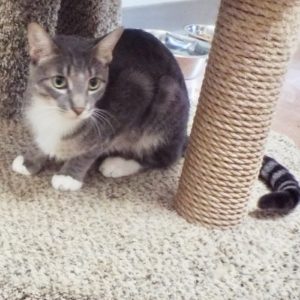 Picture of Barclay