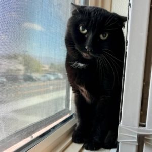 Picture of Borger