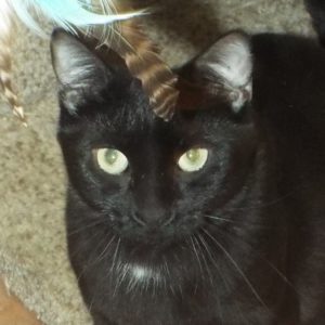 Picture of Borger