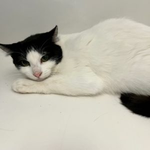 Picture of Box