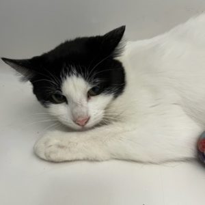 Picture of Box