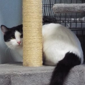 Picture of Box