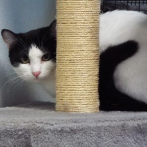 Picture of Box