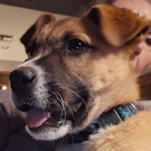 Picture of Butter