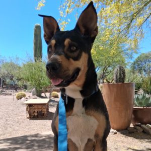 Picture of Kilo
