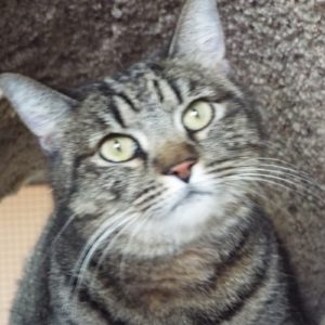 Picture of Luna