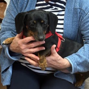 Picture of Suzie