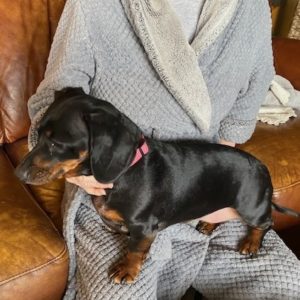 Picture of Suzie