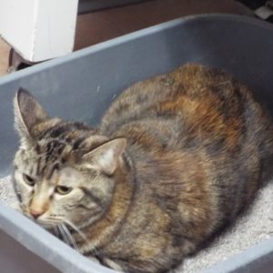 Picture of Zoe