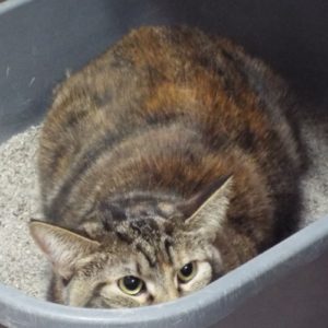 Picture of Zoe