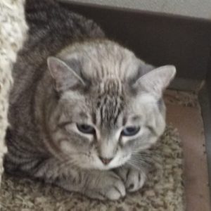 Picture of Evie