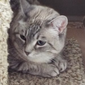 Picture of Evie