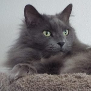 Picture of Jackson