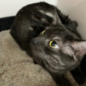 Picture of Luca