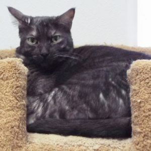 Picture of Luca