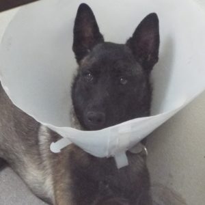 Picture of Lucas