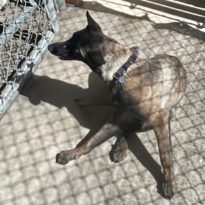 Picture of Lucas