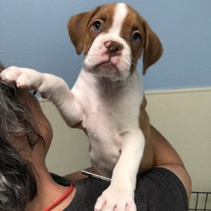 Picture of Ali