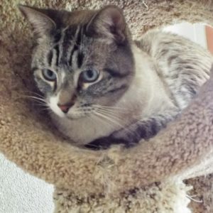 Picture of Frankie